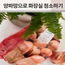 양파망 재활용 찌든때 화장실 변기청소 해 본 후기