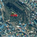 진주 연화사 목조 아미타여래좌상 이미지