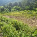 청도농장 이미지