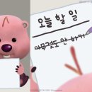 가나건강