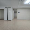 스테이화이트