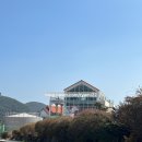 남해 애견동반 가능한 브런치카페 남해다 다녀온 후기 (2025.03.23 방문)