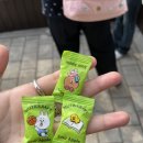 카페해길 | 모든게 완벽했던 ✨ 성북동길 로컬 스냅 투어 후기 프리즈미