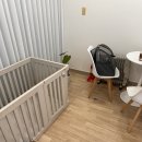 천사 펫하우스 이미지