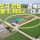 인하농장 Daum카페