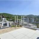 더숲부동산중개법인주식회사 이미지