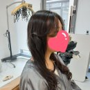 바비헤어 이미지