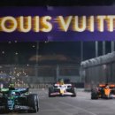 콧대높은 개 이미지