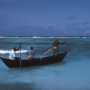 신기한 동식물여행 1 이미지