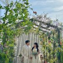 [wedding 10] 스튜디오 웨딩 촬영 단하루 헤어변형 내돈내산 후기 💸(가을 디자이너 선생님..❤️)
