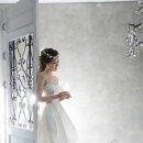 지영상회 이미지