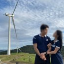 강릉목장 이미지