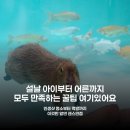 롯데마트 월드타워점 | 설 연휴, 어디 갈지 고민이라면? 롯데월드타워가 싹 다 해결!