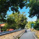 지전 | 지전마을 옛 담장 돌담길 국가등록문화재 자전거 둘레길 코스 반디랜드부터 지전마을까지 라이딩 후기