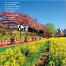 수영강 세월교 이미지