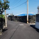 바닷가 신촌리 마당 이미지