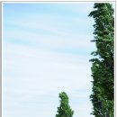 생태세상 이미지