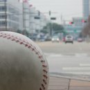 행복한칼국수 이미지