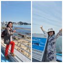 정순옥농장 이미지