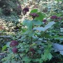 하나로농장-2 이미지