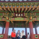 2025. 3. 23(일) 통영 동피랑 벽화마을 그리고 대풍관 이미지