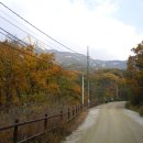@ 오랜 시간 닫혀져 있던 아름다운 고갯길 ~~ 북한산 우이령 늦가을 나들이 (우이령길) 이미지