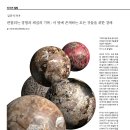 김진석 작가 관찰되는 경험과 채집의 기록 : 이 땅에 존재하는 모든 것들을 위한 경배 이미지