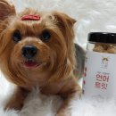 토담스펫 이미지