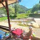 단양소백농협 본점 이미지