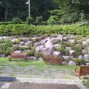 아미산자생식물원 이미지