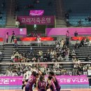 삼산월드체육관 족구장 이미지