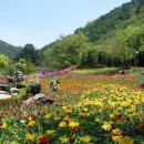 평창밸리뷰 펜션 이미지