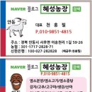 조하농장