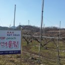 트리플농장 이미지