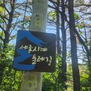 금강변길 | [세종여행] 금강 따라 걷는 숲길 여행, 세종 청벽산 매봉 산행 후기