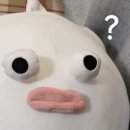 디오디너리 엑스폴리에이팅 립세럼 후기｜입술 각질 심한 사람 기준 솔직 후기