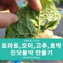 따불농장 네이버블로그