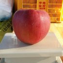 논산예술제 이미지