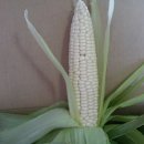 추동농장 이미지