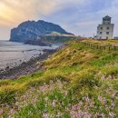 종현어촌체험마을 | 바다·갯벌·어촌 체험이 한 곳에! 경기도 안산 ‘종현어촌체험마을’에서 즐기는 하루 체험