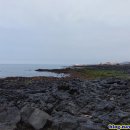 제주도한달살기 이미지