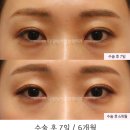 서연성형외과의원 이미지