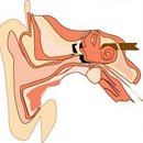 예일내과의원 이미지