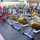 스카이 피티 이미지