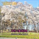 고려리프트 | 과천 서울대공원 벚꽃 후기 리프트 가격 이용시간 주차 꿀팁 + 동물원 테마가든 솔직 리뷰