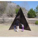 시안미술관 이미지