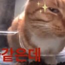 보영민박