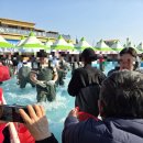 동원목욕탕 | 2025 모슬포 방어축제 다녀온 후기 (맨손으로 잡기, 방어회 즐기기)