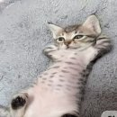 성원약국 | 어리석다는 걸 알면서도 모르는 척 오래도록 눈을 감고 걸었지