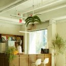 둔산서로 이미지